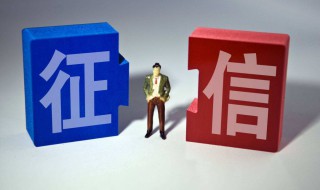 如何查询自已的征信（如何查询自已的征信报告）