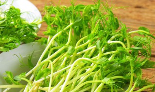 无须豌豆苗种植方法 无须豌豆苗怎么种