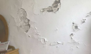 墙壁上的石灰怎么处理 墙上的石灰怎么样能快速去除