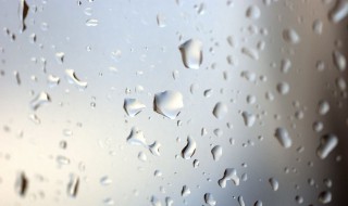鞋上雨水痕迹怎么处理（鞋子上雨水弄的小黑点怎么去掉）