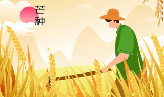 农田施肥的正确方法（农田施肥图片）