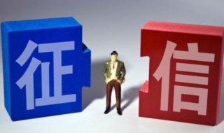 个人信用报告查询后怎么看（个人信用报告查询怎么看是否正常）