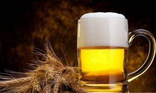 戒啤酒的最好方法（戒掉啤酒的好方法）