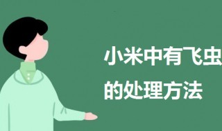 小米中有飞虫怎么处理（小米里有小飞蛾是怎么回事）