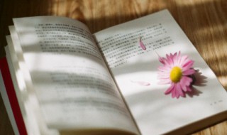 兄妹之间的唯美短句 兄妹之间的唯美短句简短