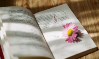 团结的句子励志（团结一致共同努力的句子）