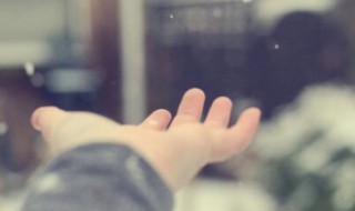 每天忙忙碌碌人生感悟（每天忙忙碌碌人生感悟短句）
