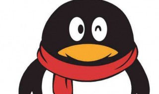 qq照片回收站在哪儿 qq相册回收站在哪里找