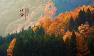 秋分谚语（秋分谚语大全）