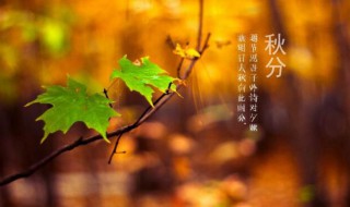 秋分是什么季节（秋分是什么季节的节气）