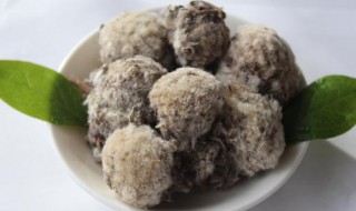 藏雪莲花的功效与作用及食用方法（藏雪莲花的功效与作用及食用方法青藏雪莲）