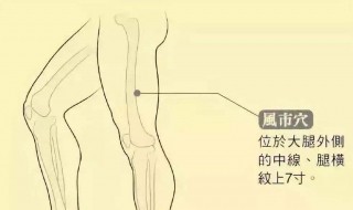 瘦大腿内侧的方法 瘦大腿内侧的方法床上做的动作