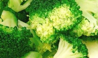西兰花怎么洗（西兰花怎么洗才干净需要焯水吗）