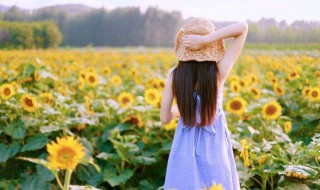 清新阳光短句 清新阳光的文案