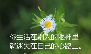 人生感言短句（人生感言短句励志10字）