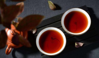 如何喝普洱茶（如何喝普洱茶最科学）