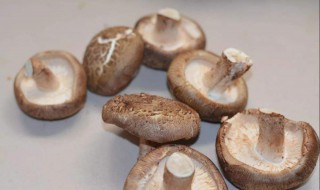 菘茸怎么保存 冷冻的菘茸怎么处理