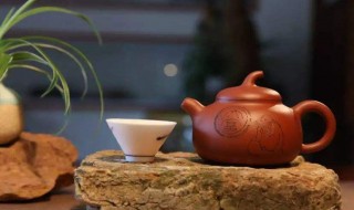 紫砂壶怎么开壶（紫砂壶怎么开壶方法视频）