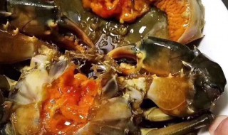 青膏蟹该怎么保存 青膏蟹怎么保存时间长
