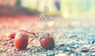 半夜发朋友圈的短句子 半夜发朋友圈的短句子逗比