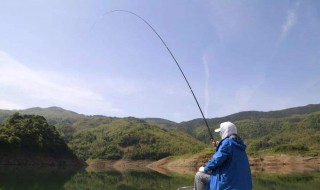 深水如何做钓黄尾（钓黄尾深水好还是浅水好）