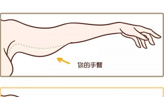 甩臂的正确方法（甩臂的正确方法视频）