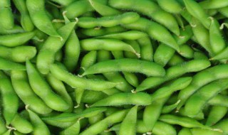 毛豆的怎么保存方法（毛豆怎样保存时间久）