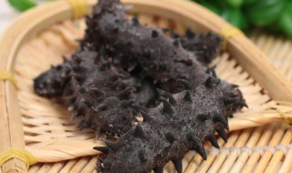 什么样的海参好呀 什么样的海参好呀好吃