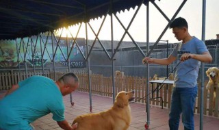 犬舍的建造方法 犬舍的建造方法视频