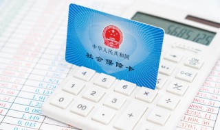 社保缴费怎么查询（个人社保缴费怎么查询）