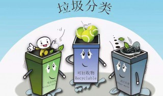 可回收垃圾有哪些物品 可回收垃圾有哪些物品20种