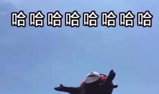 三个哈哈哈是什么意思?（三个哈哈哈是什么意思网络用语）