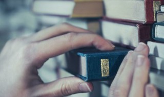 电极箔是什么东西（电极箔图片）