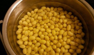 泡黄豆做法窍门（泡黄豆做法窍门视频）