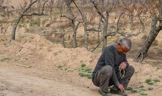 守村人是什么意思（守村人为什么都是傻子）
