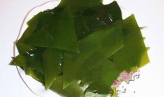 海带叶芽怎么保存 海带叶芽怎么保存时间长