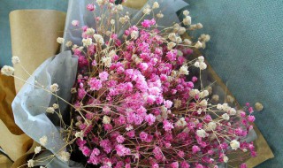 干花做了怎么保存 干花做了怎么保存不会变色