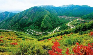 六盘山在哪里在什么省（六盘山位于哪个省）
