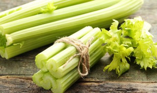 芹菜夏天高温种植方法（芹菜夏天高温种植方法有哪些）
