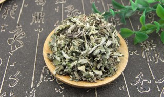 正确的艾叶泡脚方法（自己晒的艾草怎么泡脚）