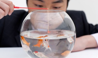 绑鱼嘴的方法 大鱼怎么绑嘴巴