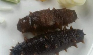 海参的解冻方法 海参解冻方法是用温水还是热水