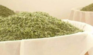 烘干白茶的方法（白茶烘干多少度多少时间）