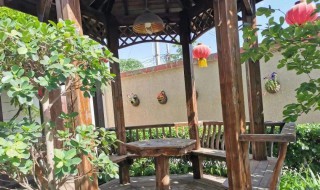 庭院驱鸟的方法 庭院驱鸟器