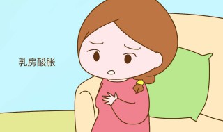 增肥增胸的方法（增肥怎么增胸）