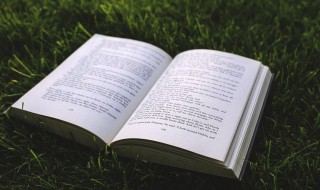 朋友圈晒娃经典语句（一儿一女朋友圈晒娃经典语句）