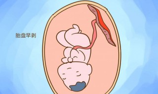 生孩子的方法（夫妻怎么生孩子的方法）