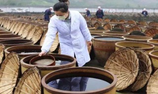 醋吃多了会怎么样（胃不好醋吃多了会怎么样）