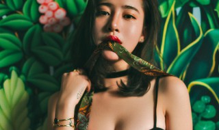 绿茶女什么意思（绿茶女什么意思啊兴风作浪）