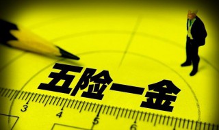 五险一金包括什么及缴纳比例（五险一金指什么缴费比例）